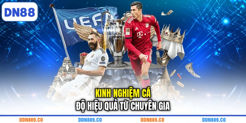 Kinh nghiệm cá độ hiệu quả từ chuyên gia